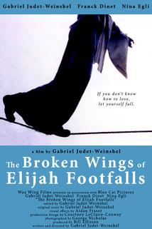 Profilový obrázek - The Broken Wings of Elijah Footfalls