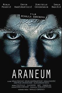 Profilový obrázek - Araneum