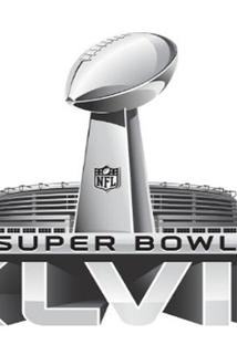 Profilový obrázek - Super Bowl XLVIII