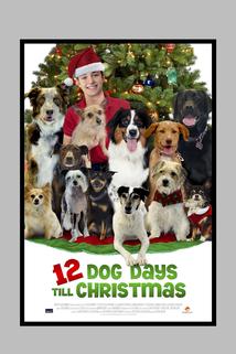 12 Dog Days of Christmas  - 12 Dog Days of Christmas