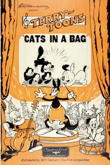 Profilový obrázek - Cats in a Bag