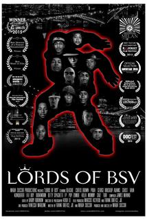 Profilový obrázek - Lords of BSV