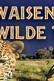 Profilový obrázek - Das Waisenhaus für wilde Tiere