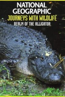 Profilový obrázek - Realm of the Alligator