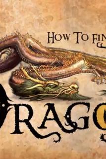 Profilový obrázek - How to Find Your Dragon