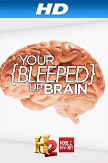 Profilový obrázek - Your Bleeped Up Brain