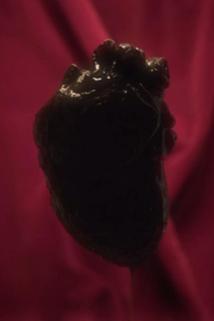 Profilový obrázek - Chocolate Heart