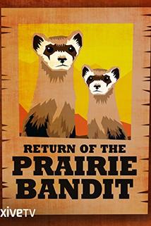 Profilový obrázek - Return of the Prairie Bandit