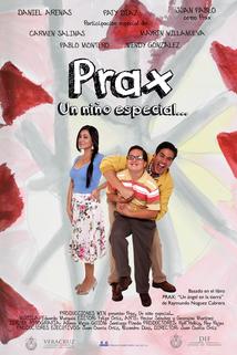 Profilový obrázek - Prax: un niño especial