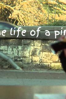 Profilový obrázek - A Day in the Life of a Pint