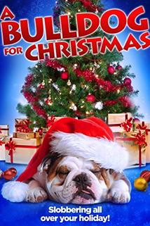 Profilový obrázek - A Bulldog for Christmas