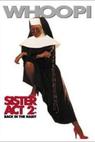 Sestra v akci 2 (1993)