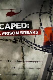 Profilový obrázek - I Escaped: Real Prison Breaks