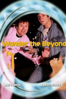 Profilový obrázek - Wonder the Beyond
