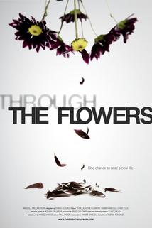 Profilový obrázek - Through the Flowers