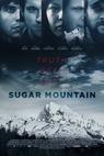 Sugar Mountain (2016)