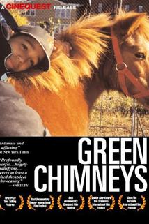 Profilový obrázek - Green Chimneys