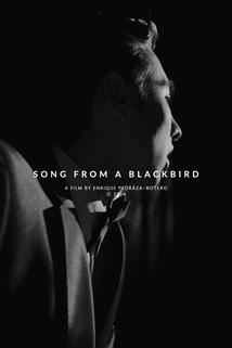 Profilový obrázek - Song from a Blackbird