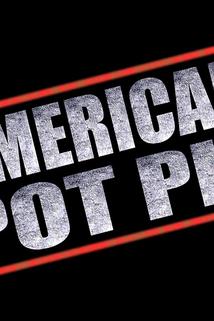 American Pot Pie  - American Pot Pie