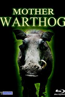 Profilový obrázek - Mother Warthog