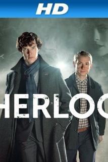 Profilový obrázek - Sherlock Uncovered