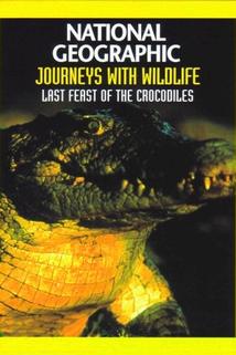 National Geographic: The Last Feast of the Crocodiles