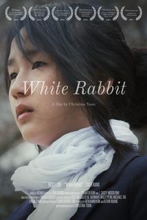 Profilový obrázek - White Rabbit