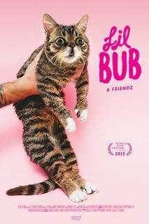 Lil Bub & Friendz