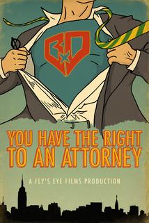 Profilový obrázek - You Have the Right to an Attorney