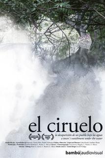 Profilový obrázek - El Ciruelo