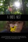 A Bird's Nest 