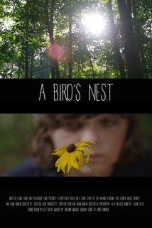 Profilový obrázek - A Bird's Nest