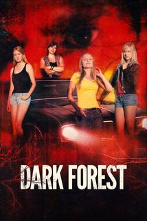 Profilový obrázek - Dark Forest