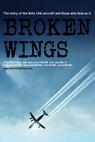 Broken Wings 