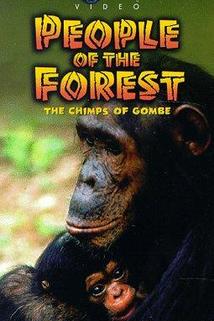 Profilový obrázek - People of the Forest: The Chimps of Gombe