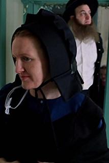 Profilový obrázek - Amish Haunting