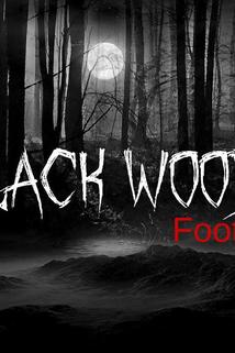 Profilový obrázek - The Black Woods Footage