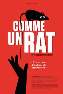 Profilový obrázek - Comme un rat