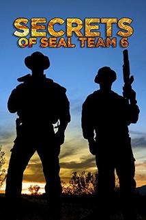 Profilový obrázek - Secrets of SEAL Team Six