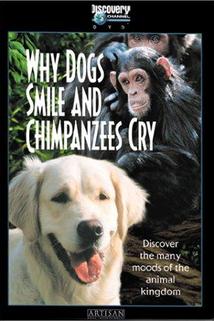 Why Dogs Smile & Chimpanzees Cry