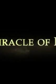 Profilový obrázek - The Miracle of People