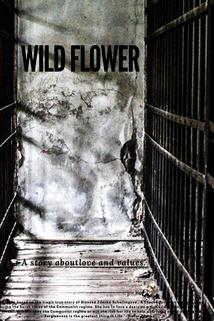 Profilový obrázek - Wild Flower