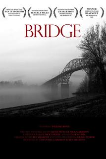 Profilový obrázek - Bridge