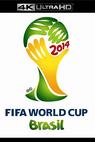 2014 FIFA World Cup 