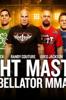 Profilový obrázek - Fight Master: Bellator MMA