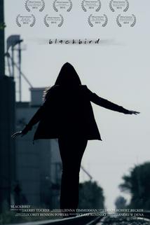 Profilový obrázek - Blackbird