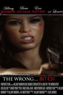 Profilový obrázek - The Wrong Bitch