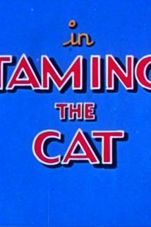 Profilový obrázek - Taming the Cat