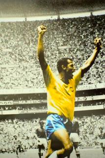 Profilový obrázek - Kissing the Cup: The Carlos Alberto Story