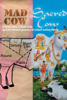 Profilový obrázek - Mad Cow Sacred Cow